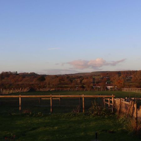 Mapperton Barn House B&B Nr Stourhead & Longleat 米尔 外观 照片
